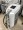 sciton bare hr diode laser for sale